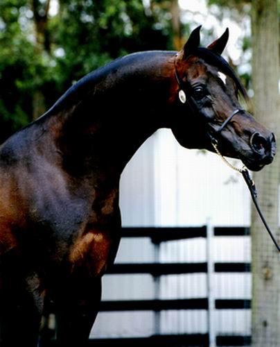 Anklicken f�r ein weiteres Bild